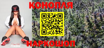 стаф Краснокаменск