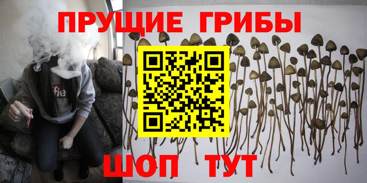 Галлюциногенные грибы Magic Shrooms  Вход с VPN  Избербаш  Галлюциногенные грибы мухоморы 