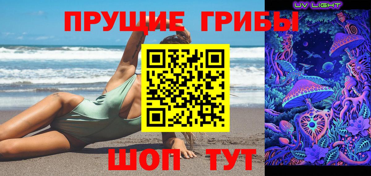 Псилоцибиновые грибы Cubensis Избербаш